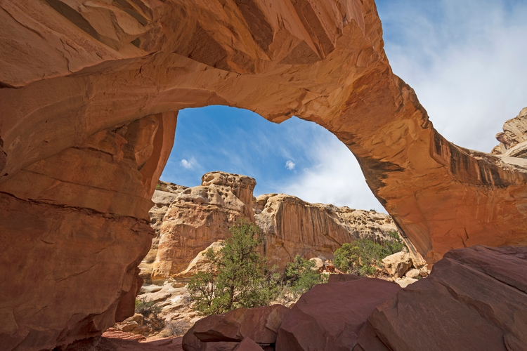 Navajo Knobs Trail