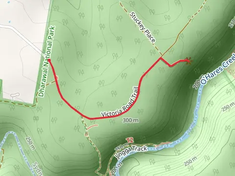 O’Hares Creek Lookout Track