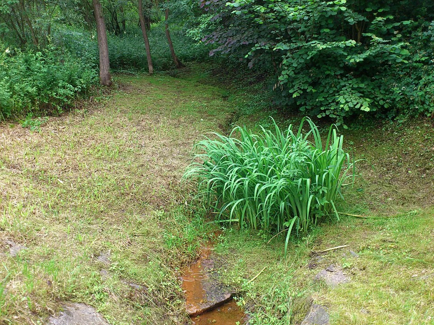 An image depicting the trail Aschaffenburg Rundweg and Kulturweg Aschaffenburg Loop and its surrounding area.