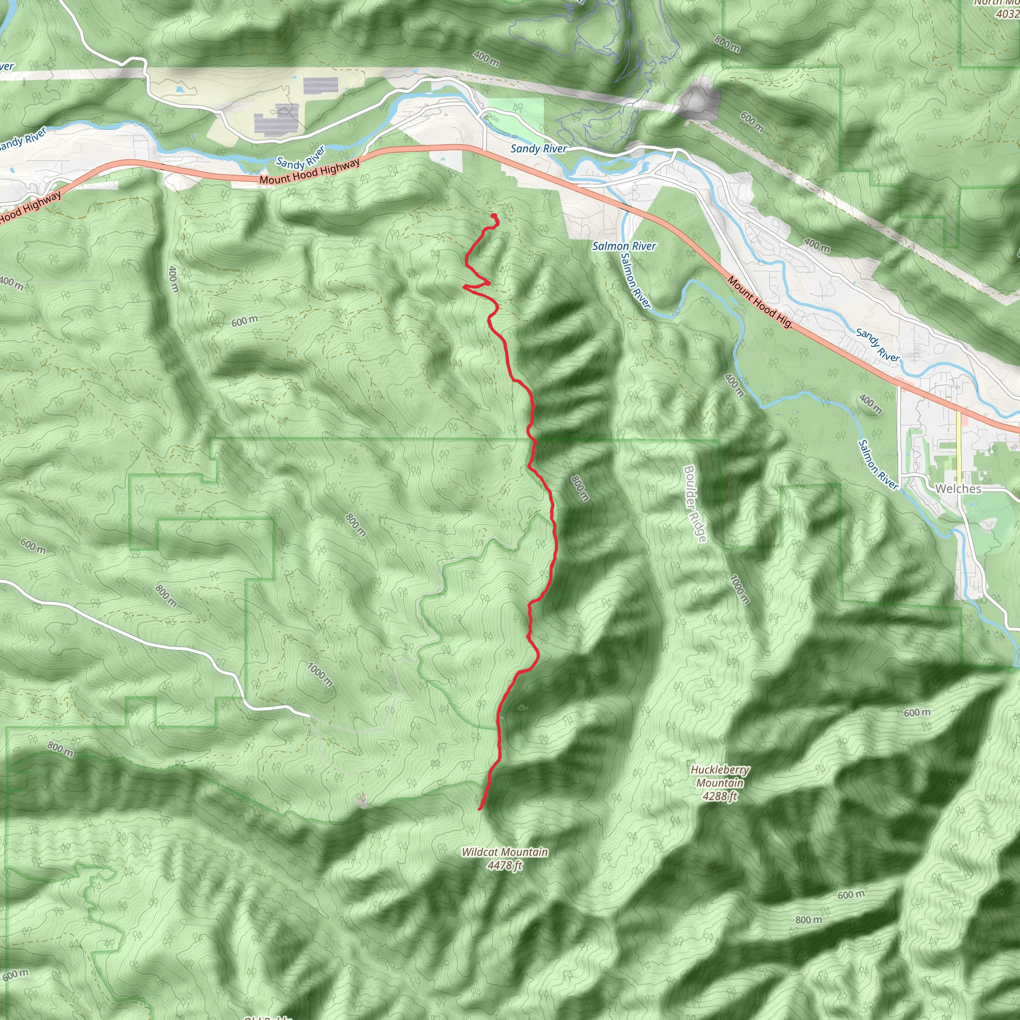 Mcintyre Ridge Trail mobile static map