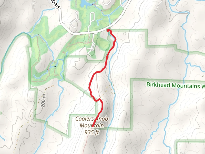 Coolers Knob Mountain via Birkhead Mountain Trail