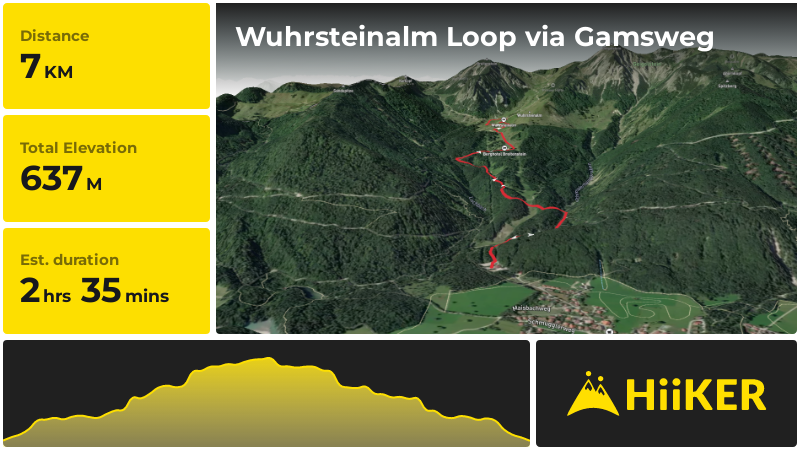 Wuhrsteinalm Loop via Gamsweg | Traunstein | Germany
