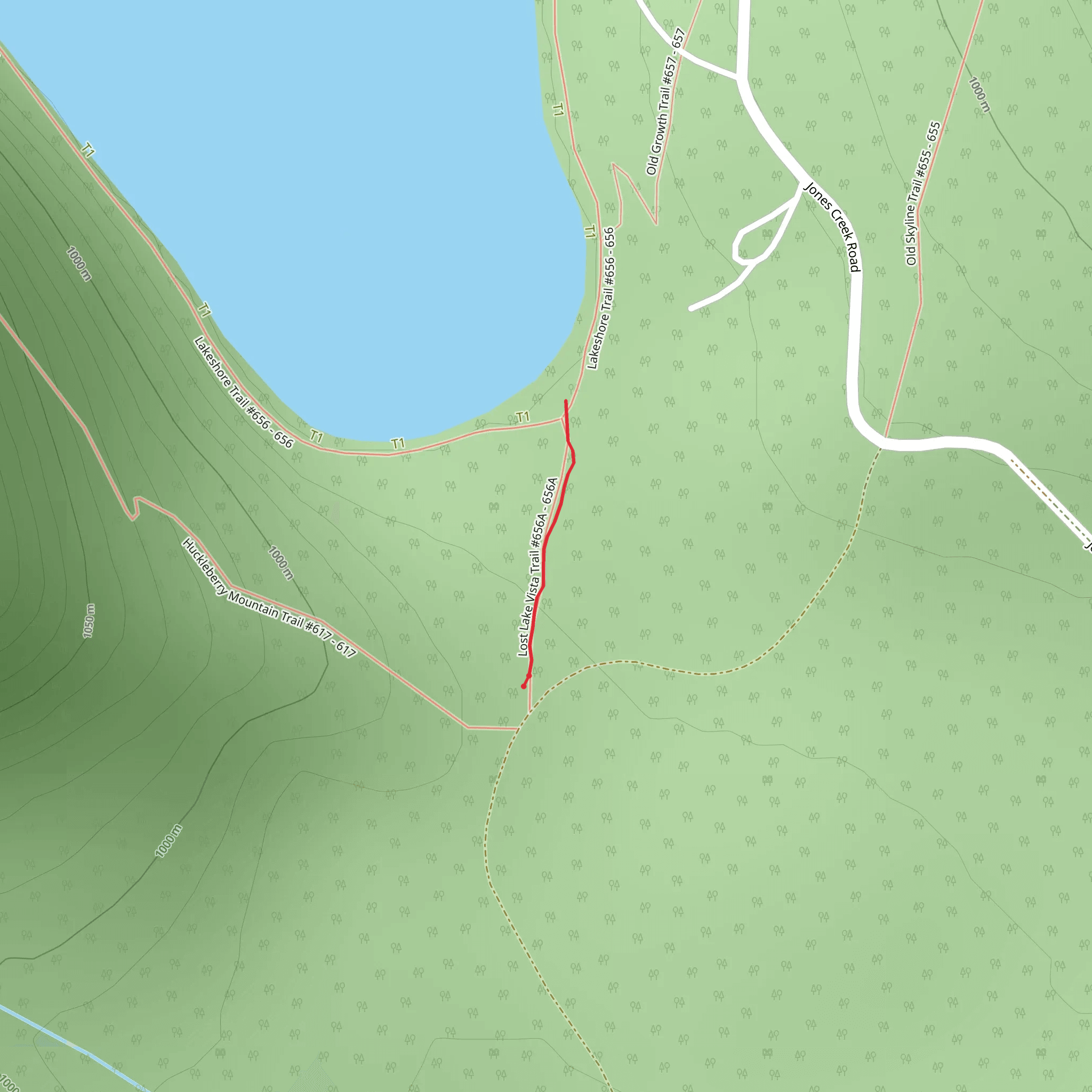 Lost Lake Vista Trail mobile static map