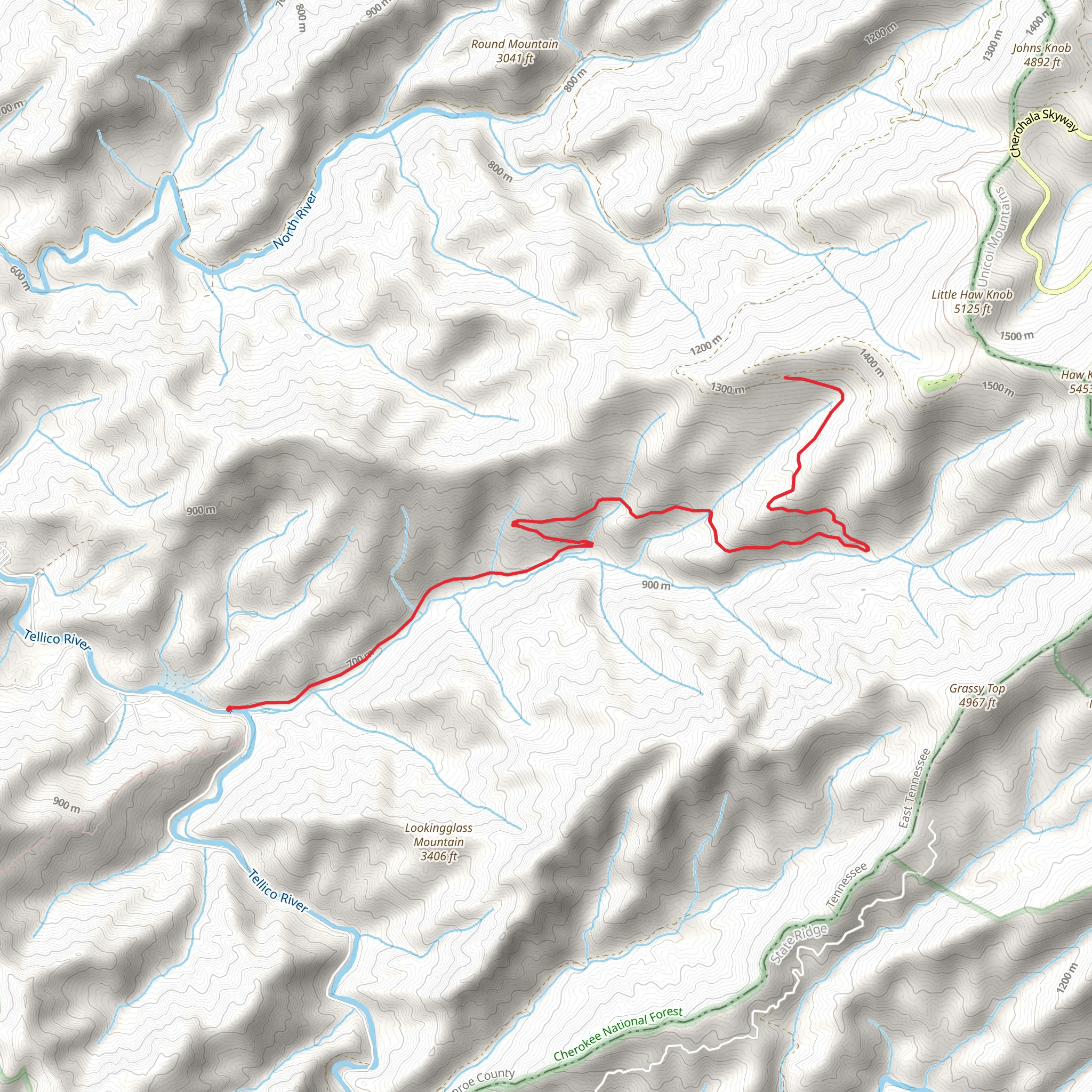 Sycamore Creek Trail from River Road mobile static map