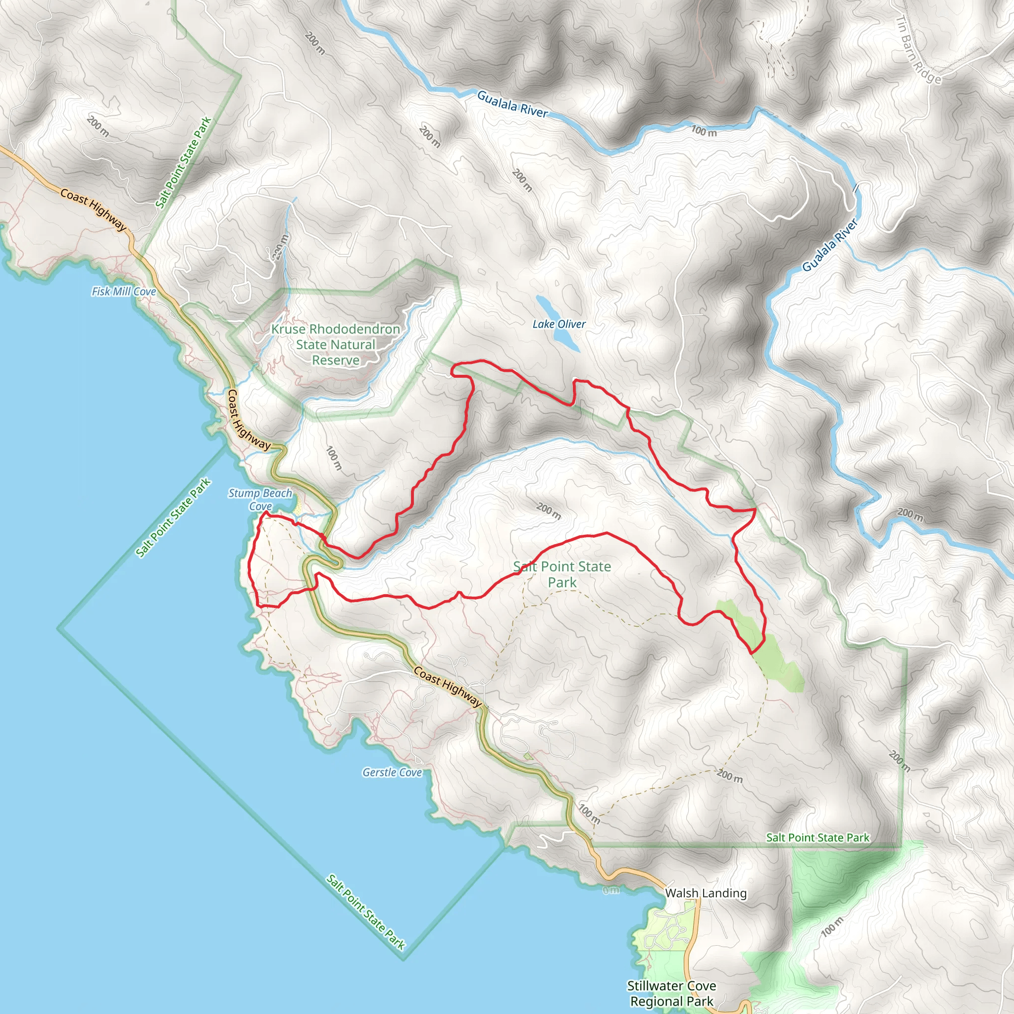 Pygmy Forest and Stump Beach Trail Loop mobile static map