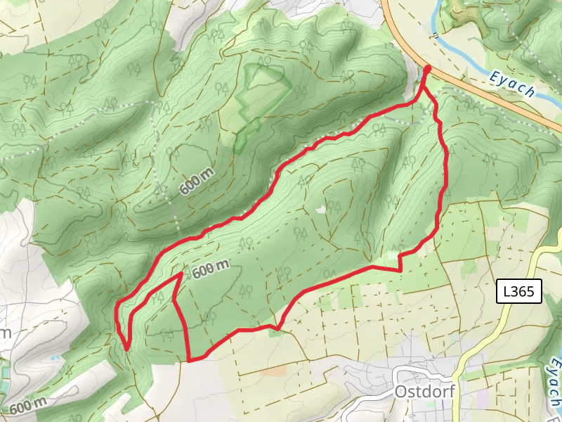 Mildersbachweg and Oberholzweg Loop