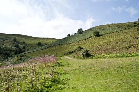 Worcestershire Beacon and Summer Hill Loop