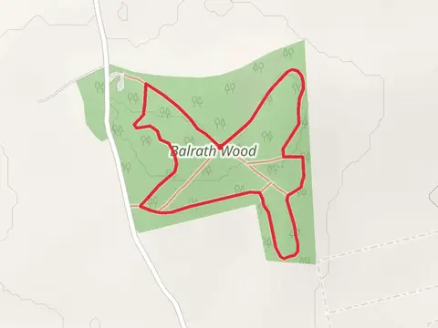 Balrath Wood - Long Walk