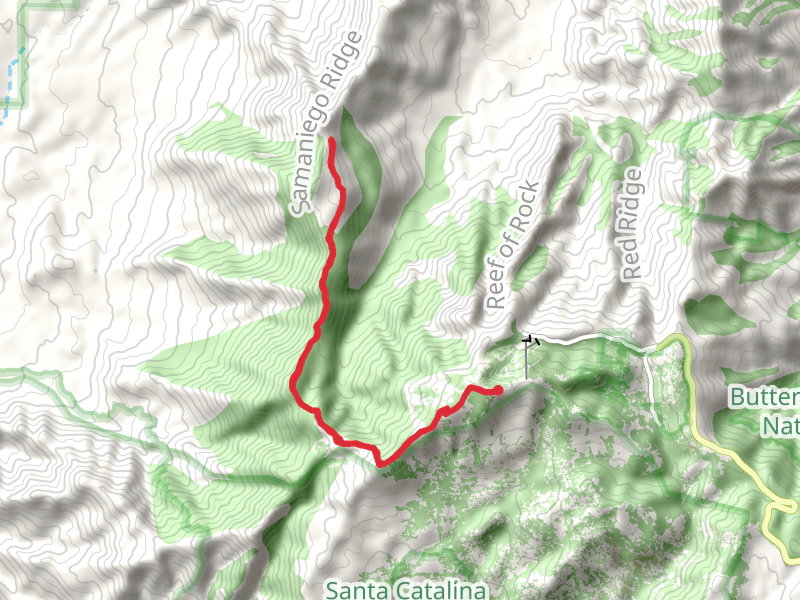 Samaniego Ridge from East Ski Run Road