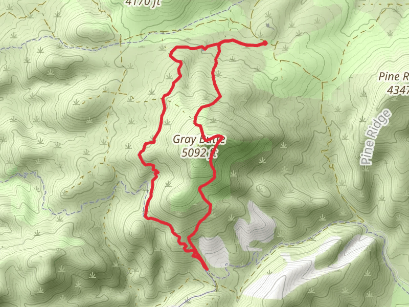 Gray Butte Loop Trail