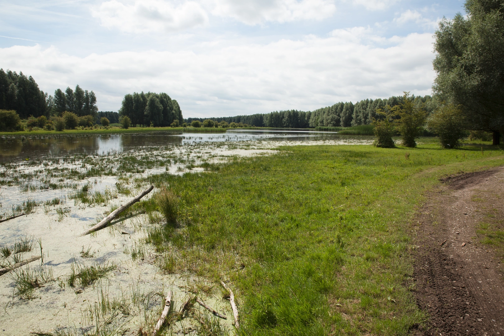 An image depicting the trail Pionierspad and its surrounding area.