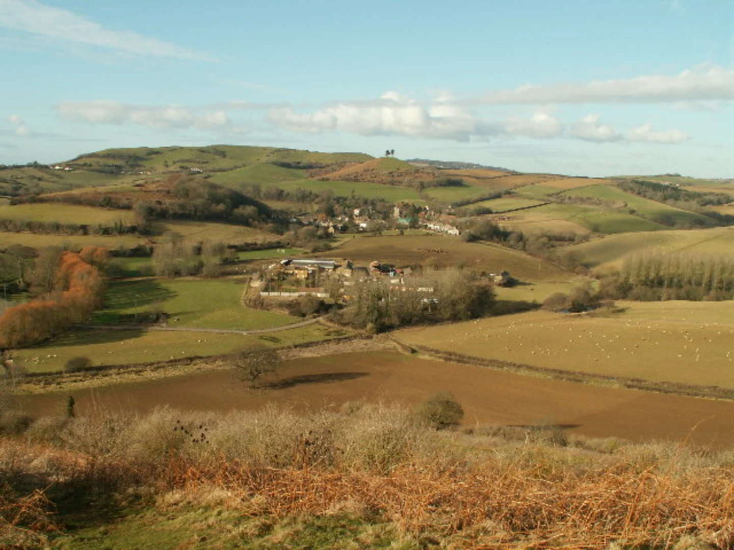 An image depicting the trail Colmers Hill Loop and its surrounding area.