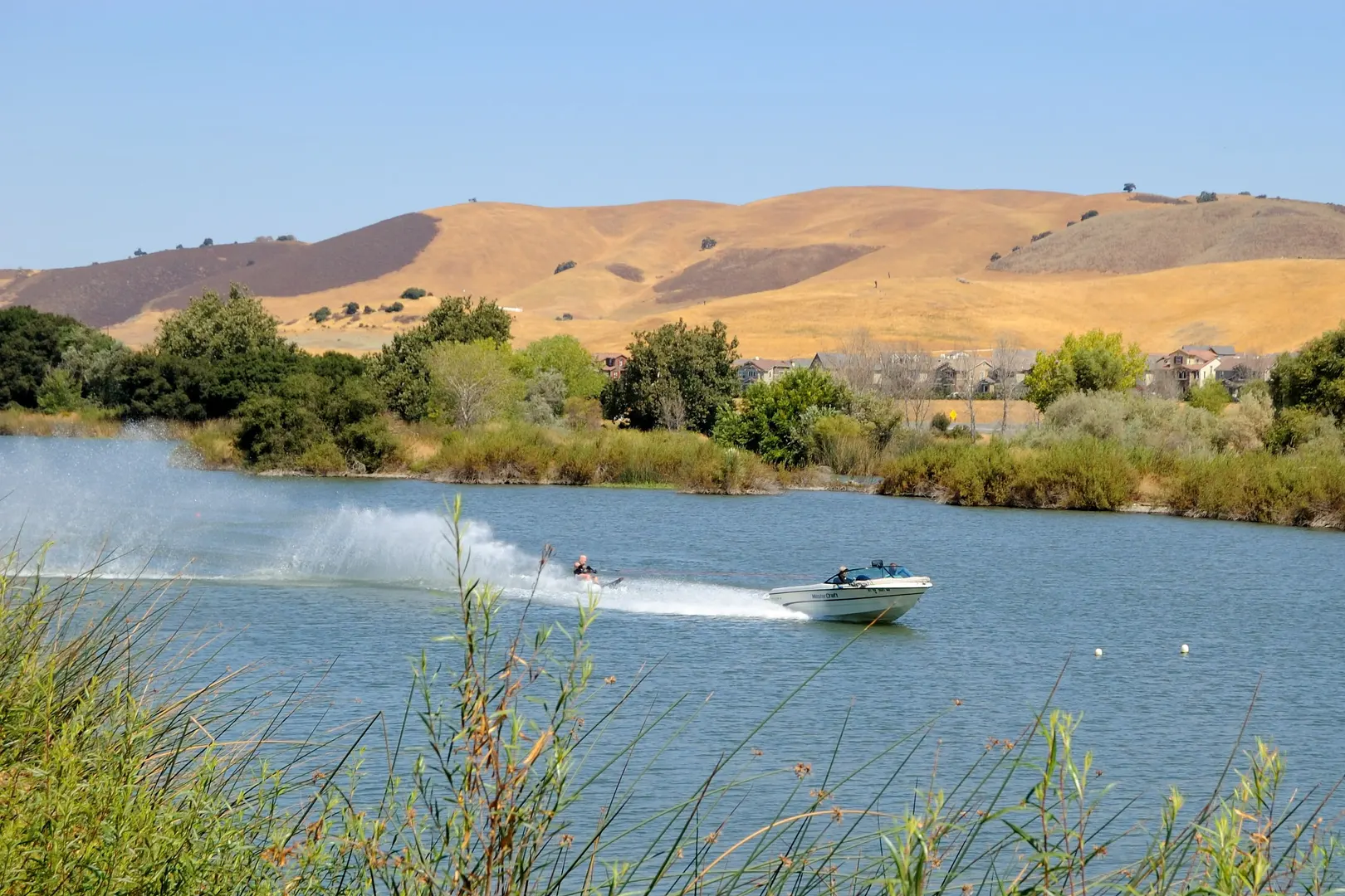 An image depicting the trail Coyote Creek Trail - Selma Olinder Park and its surrounding area.