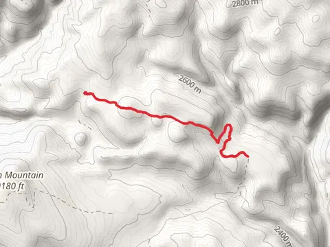 Pole Patch Trail