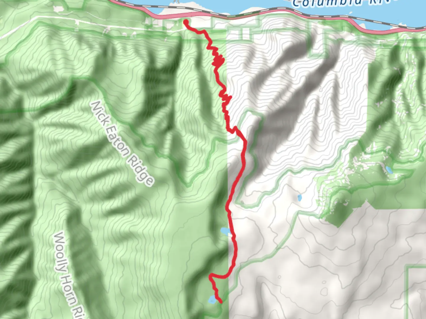 An image depicting the trail Rainy Lake via Wyeth Trail and its surrounding area.