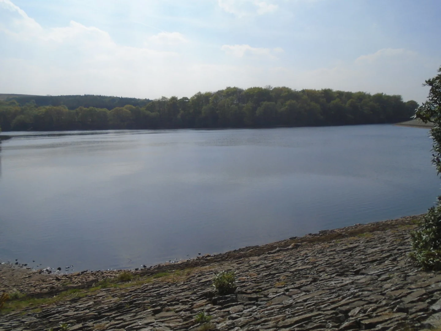 An image depicting the trail Reelers Trail and its surrounding area.