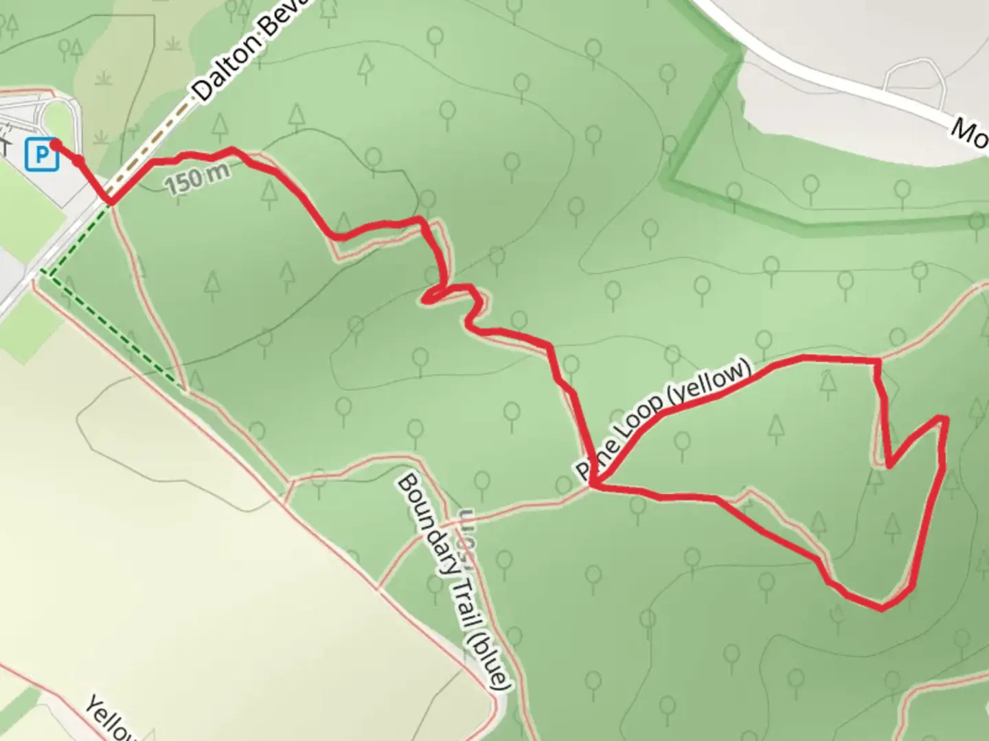 An image depicting the trail Pine Loop - Yellow and Cody Jean Trail - Green Loop and its surrounding area.