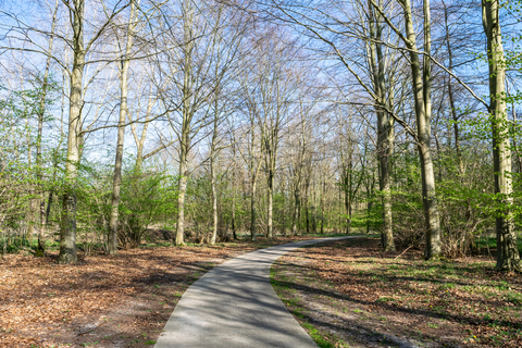 Schapenbos, Cirkelbos and Gooimeerdijk Loop