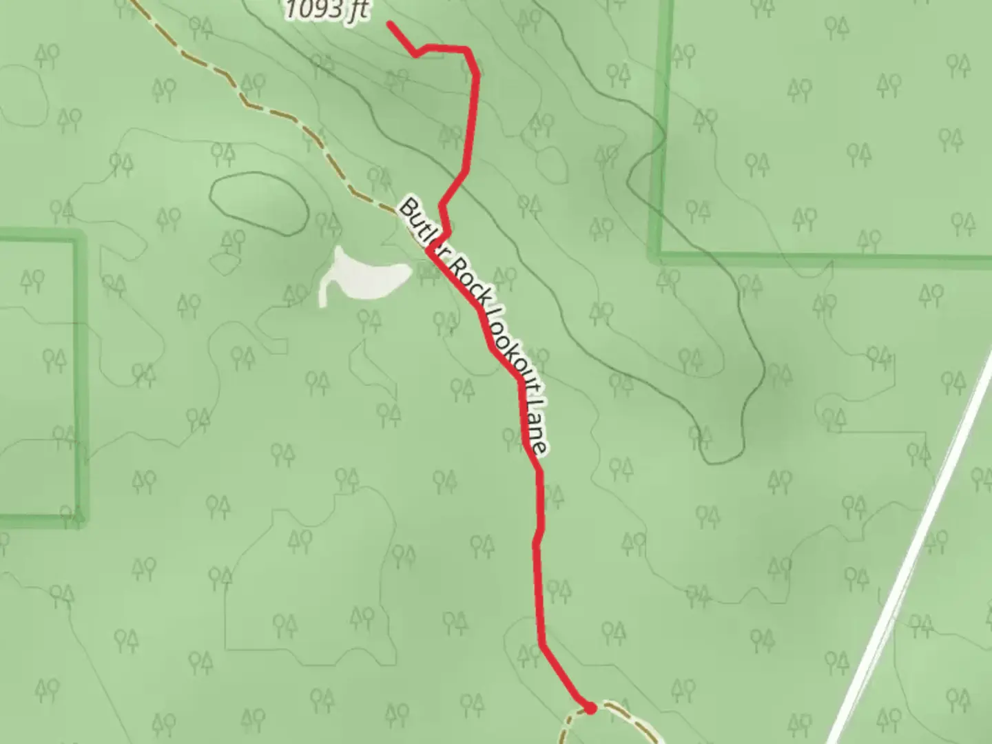 An image depicting the trail Butler Rock Lookout Lane and its surrounding area.