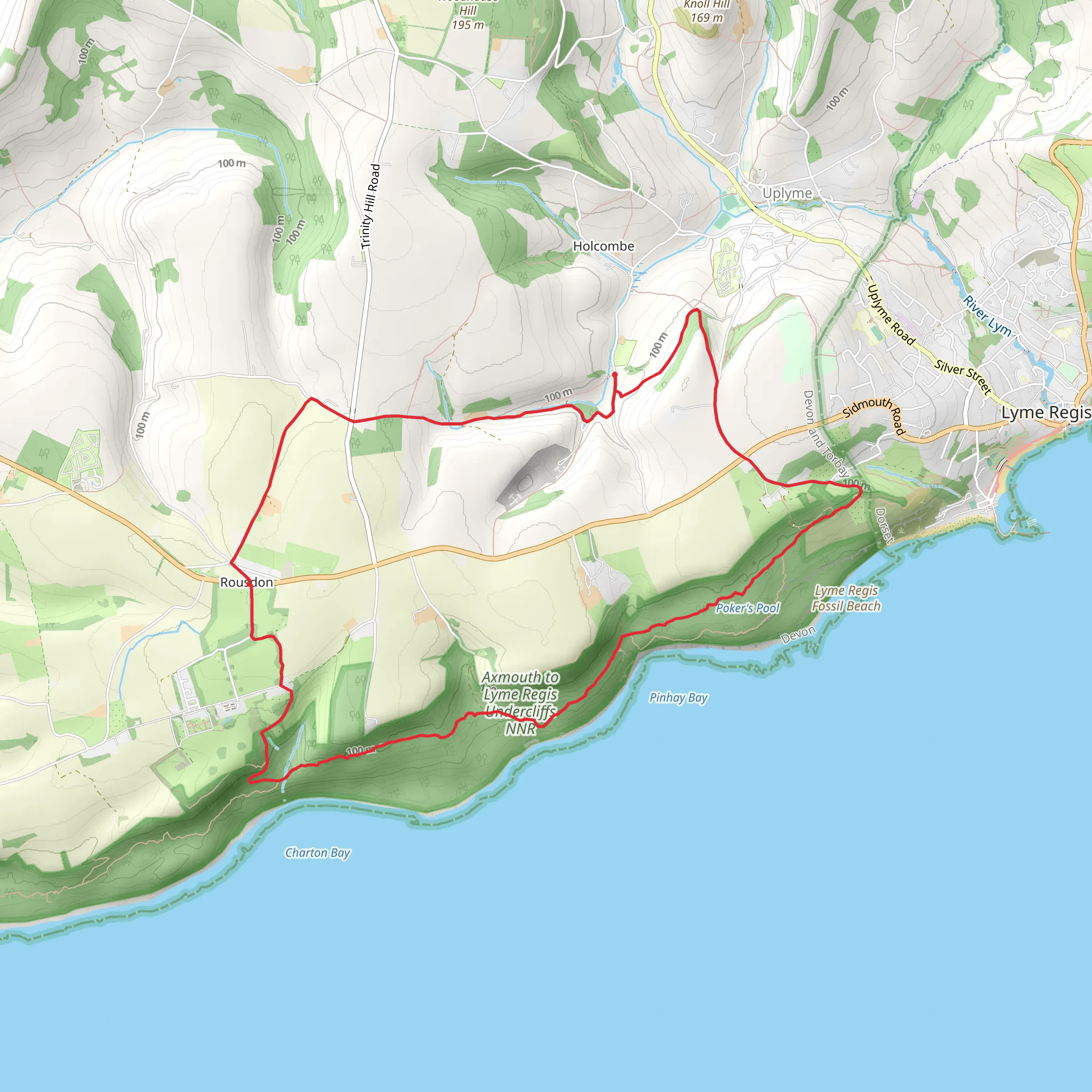 Charton Plantation, Axmouth to Lyme Regis Undercliffs NNR and