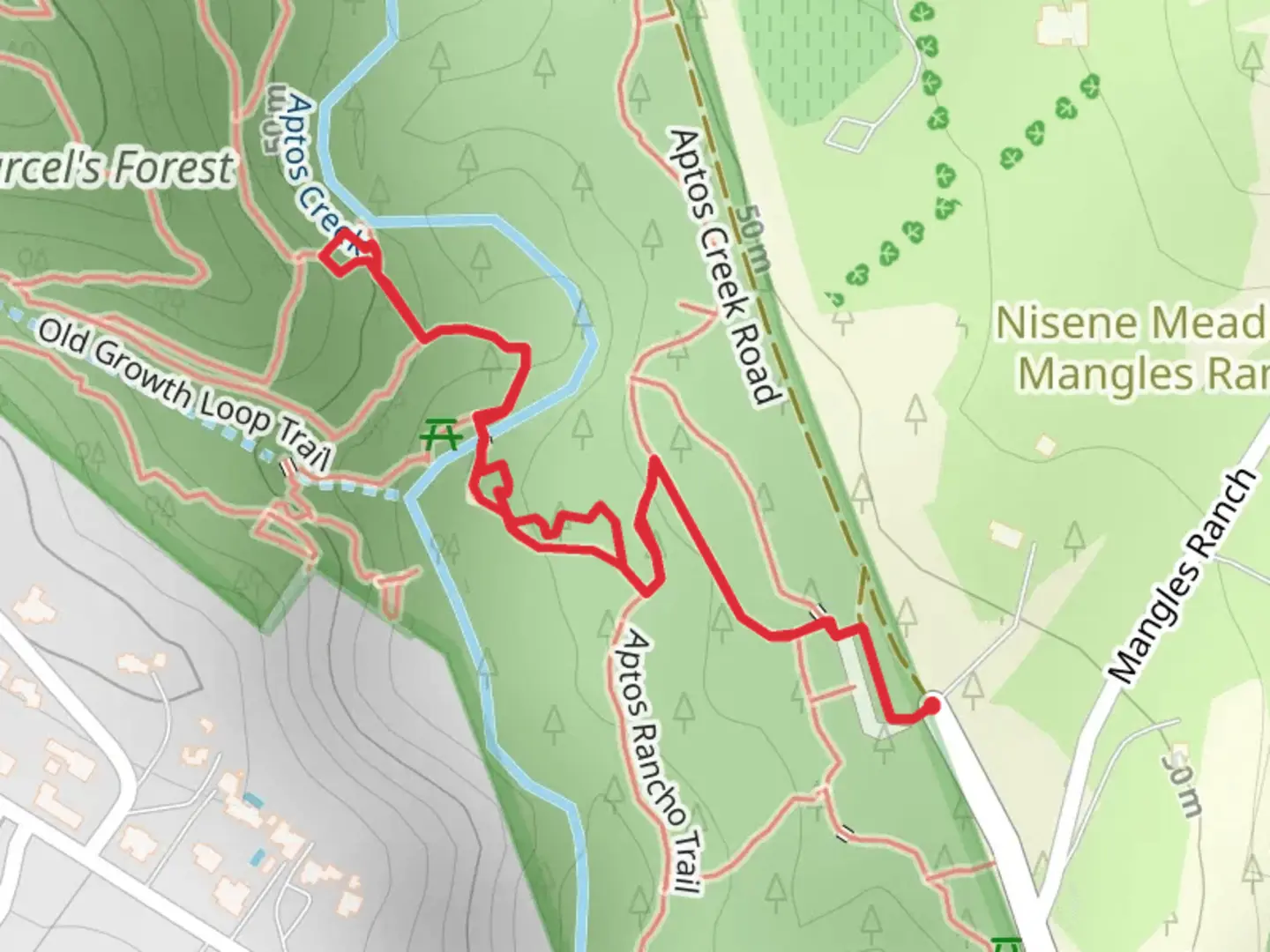 An image depicting the trail Split Stuff Trail and Old Growth Loop Trail and its surrounding area.