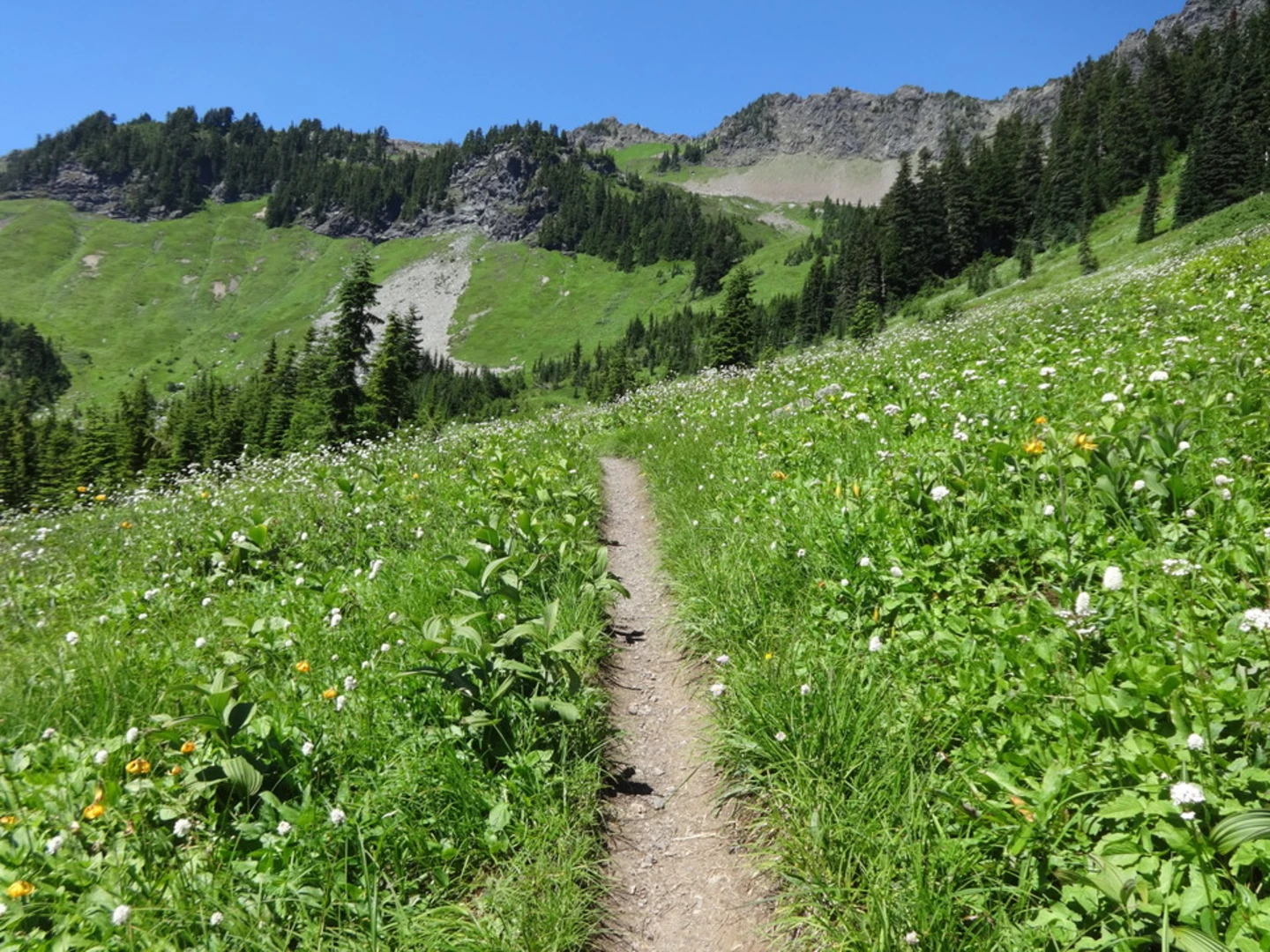 An image depicting the trail Boyd Interpretive Trail and its surrounding area.