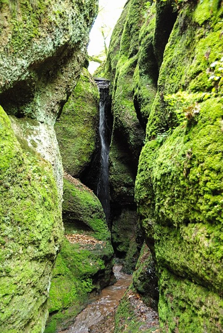An image depicting the trail Drachenschlucht Nordzugang and Marienblick via Weinstrasse and its surrounding area.