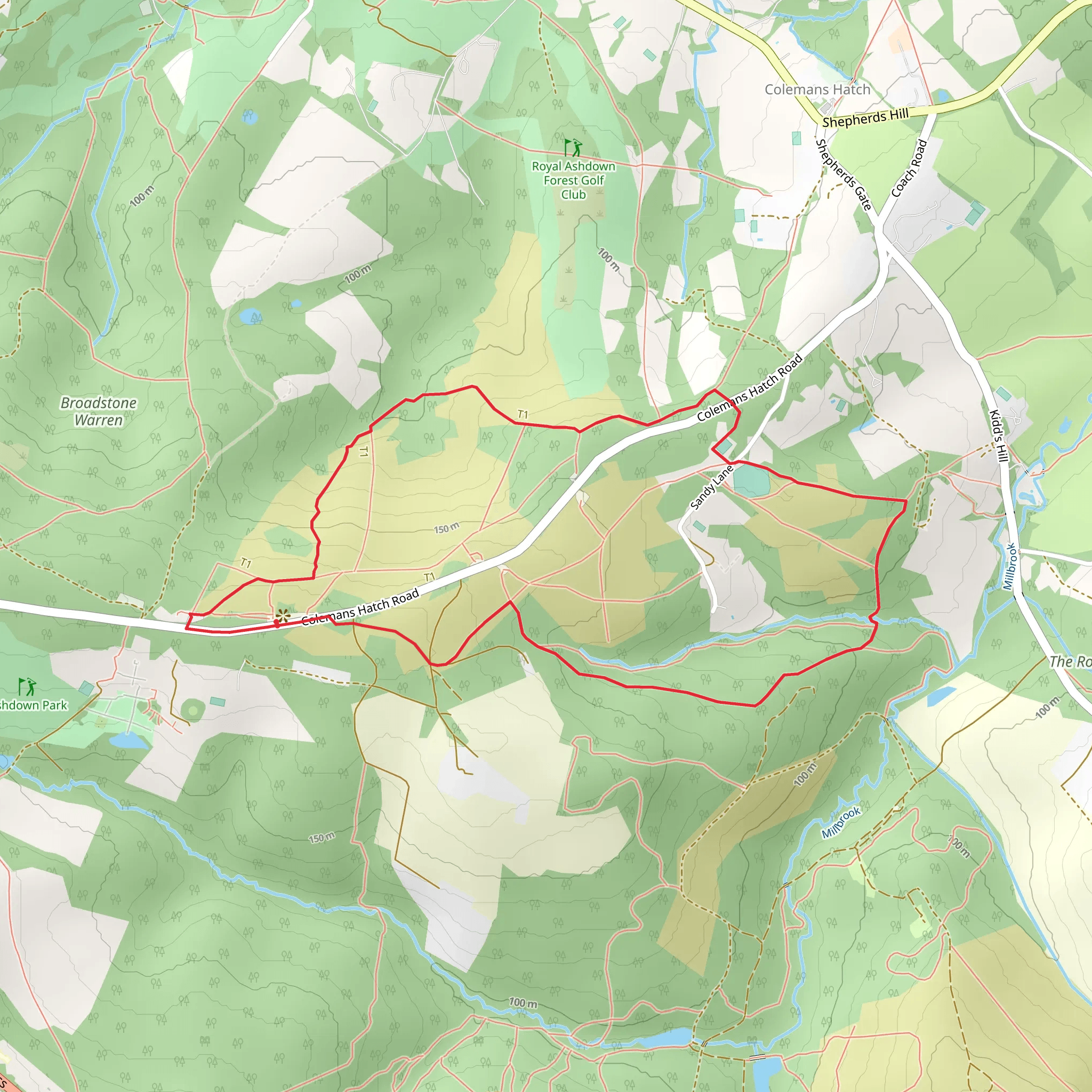 Vanguard Way and Ashdown Forest Loop | East Sussex | England