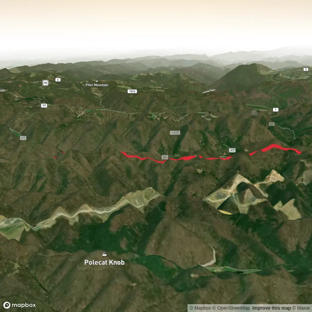 An image depicting the trail Pheasant Mountain Trail and its surrounding area.