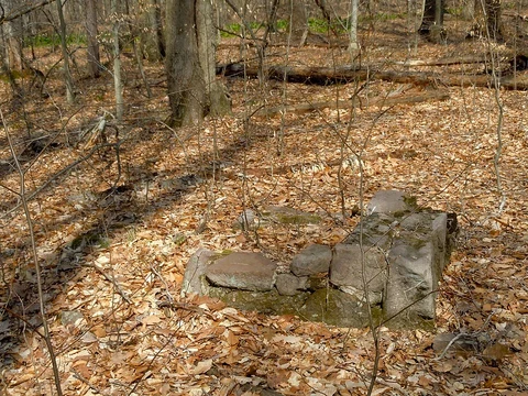 Chestnut Hill via Mill Creek Trail and Racoon Trail