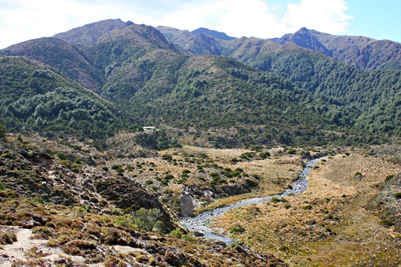 An image depicting the trail Umukarikari Track to Waipakihi Hut and its surrounding area.