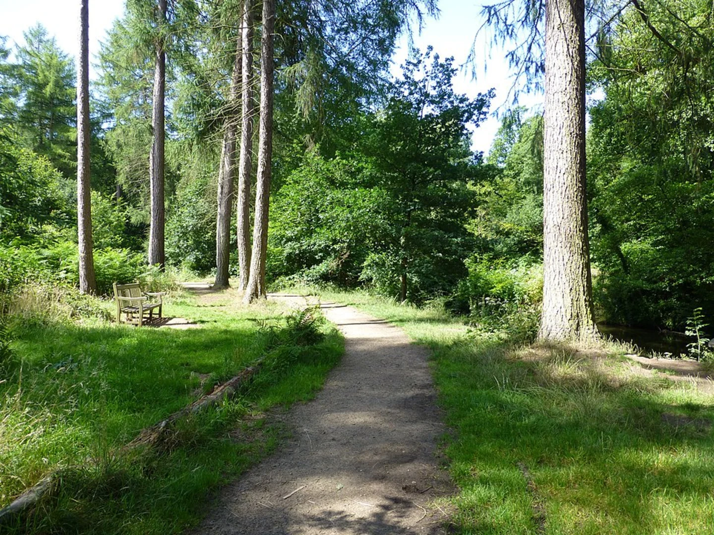An image depicting the trail Northern Wood Loop and its surrounding area.