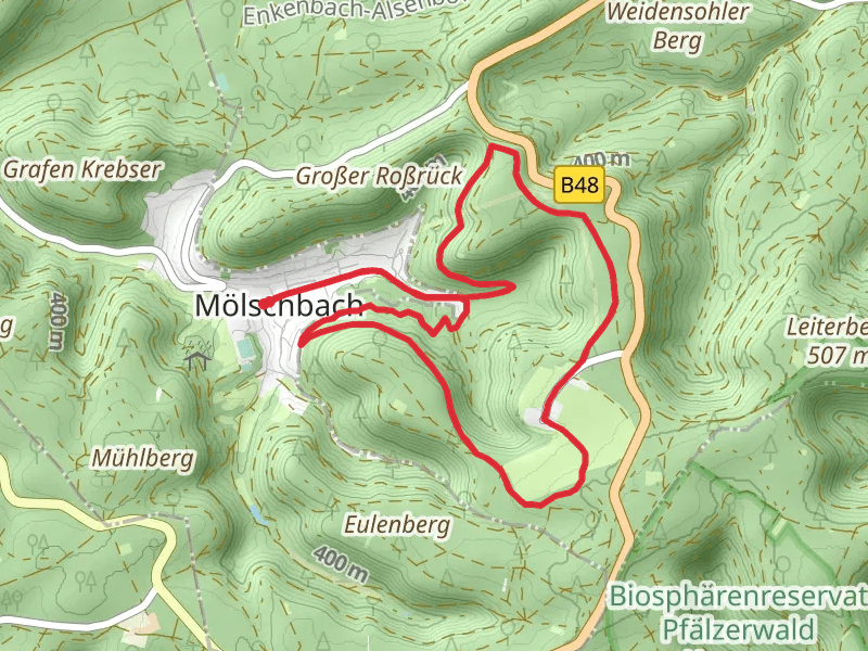 Stüterhof Loop via Pfaezerwald Weisser Punkt