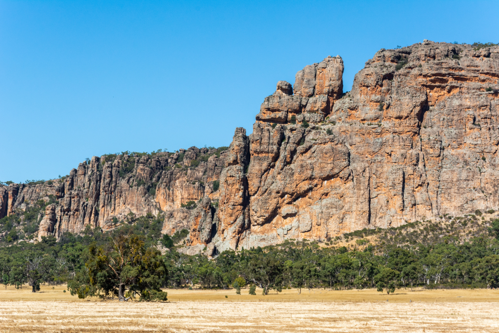 An image depicting the trail Mount Arapiles Gully Track and its surrounding area.