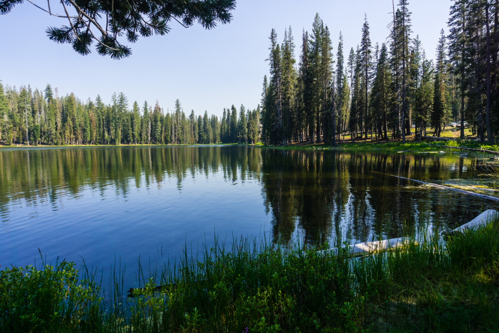 An image depicting the trail Echo Lake and Twin Lakes Trail and its surrounding area.