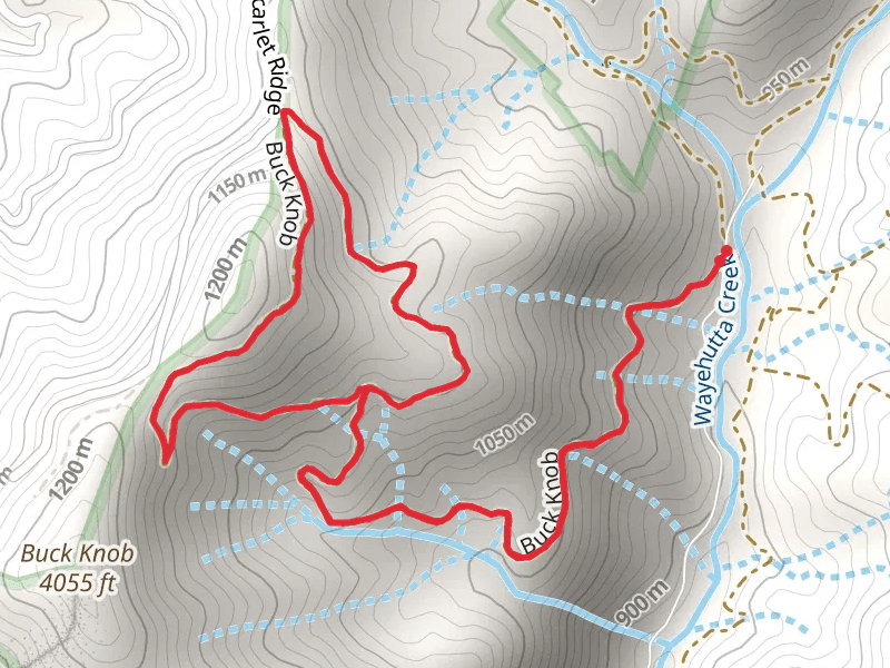Buck Knob Trail