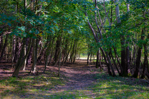 Rozenwaterveld and Renbaanveld Loop