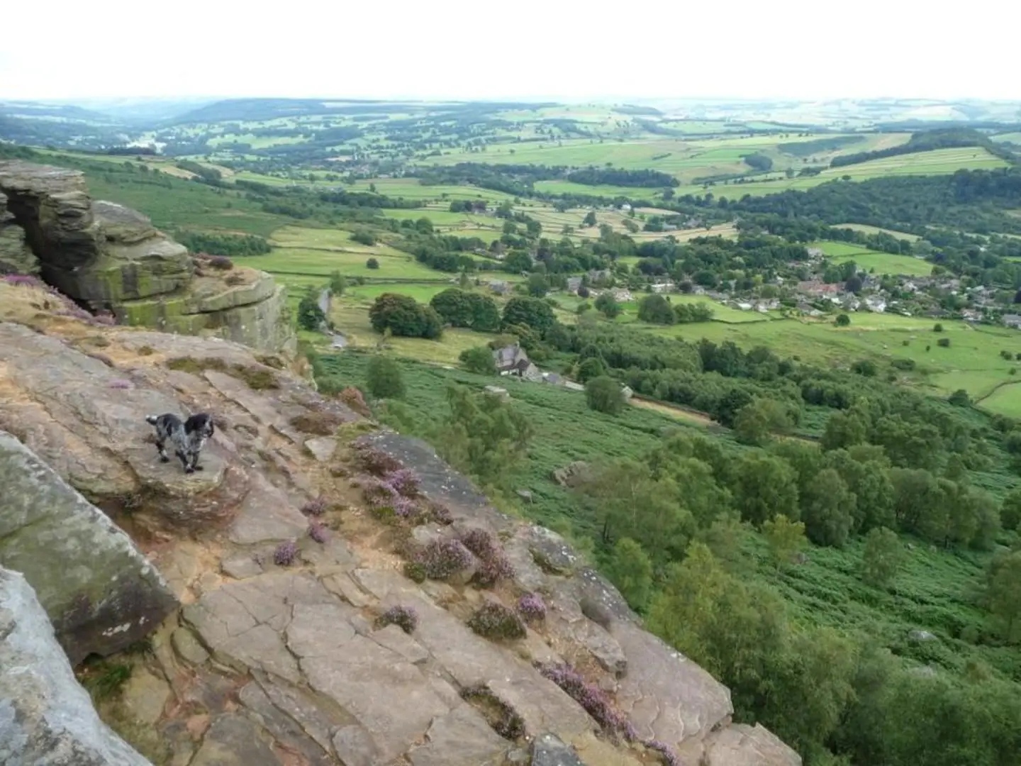 An image depicting the trail Longshaw Estate and Curbar Edge Loop and its surrounding area.