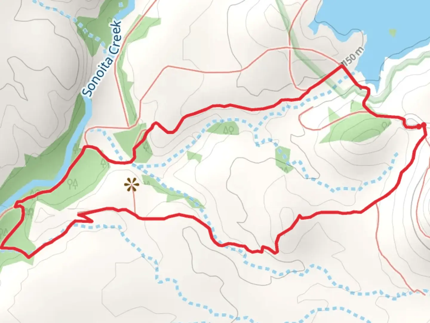 An image depicting the trail Cottonwood Direct and Sonoita Creek Loop Trail and its surrounding area.