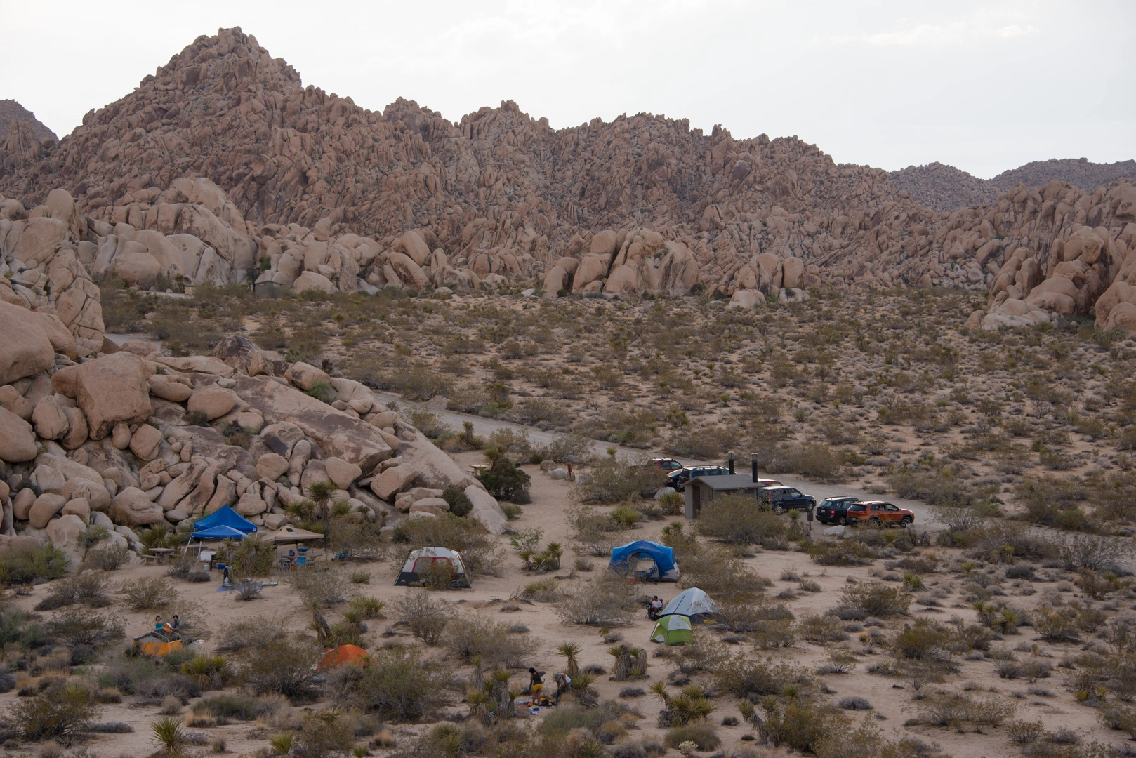 An image depicting the trail Boy Scout and Willow Hole Trail and its surrounding area.