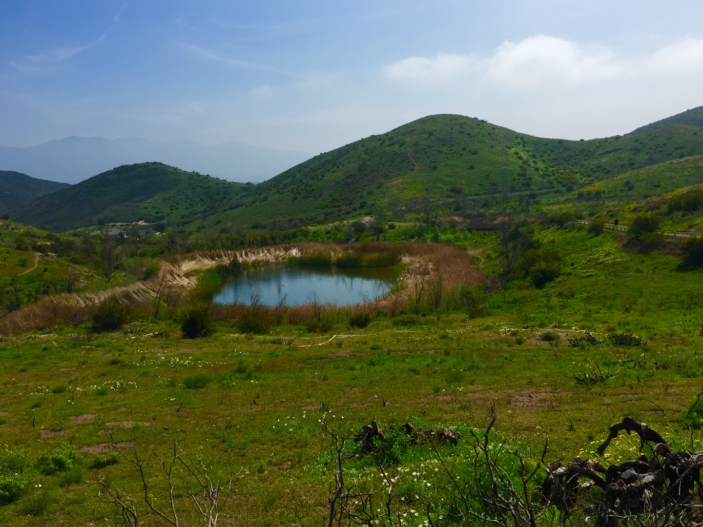 An image depicting the trail El Cerro, Las Posas and Twin Ponds Loop Trail and its surrounding area.