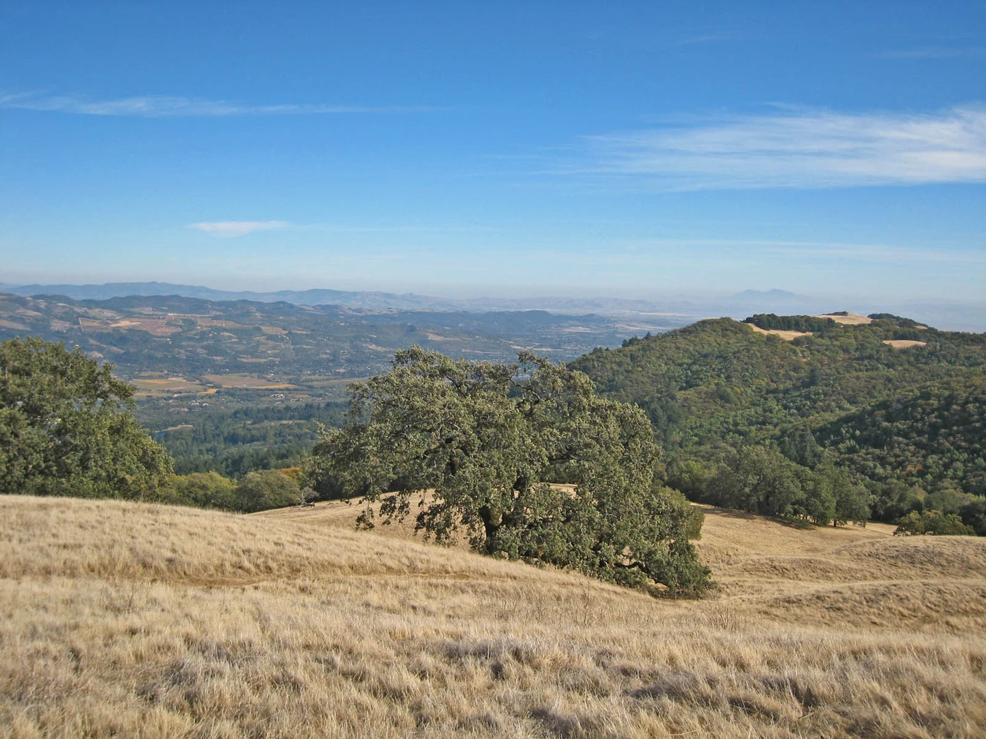 An image depicting the trail North Sonoma Mountain Trail and its surrounding area.