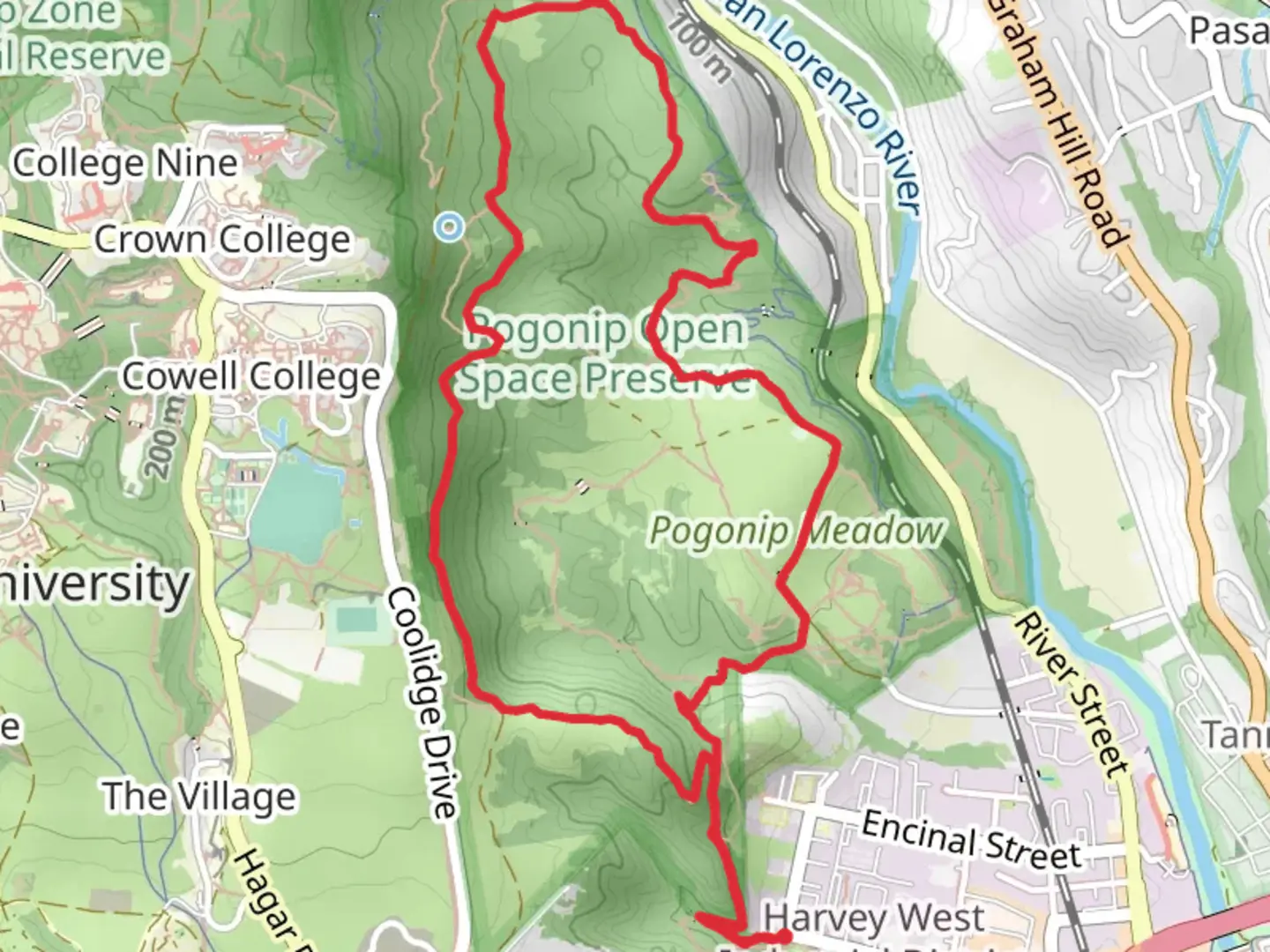 An image depicting the trail Spring Trail , Fern Trail and Harvey West Trail Loop and its surrounding area.