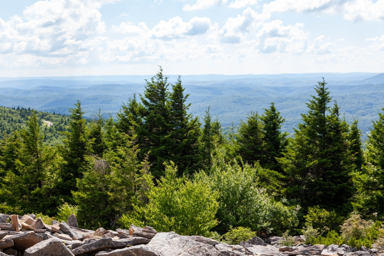 An image depicting the trail Leading Ridge Trail and its surrounding area.