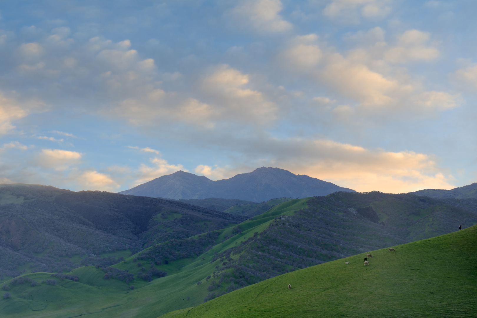 An image depicting the trail Condor Trail, Coyote Trail and Manzanita Loop Trail and its surrounding area.