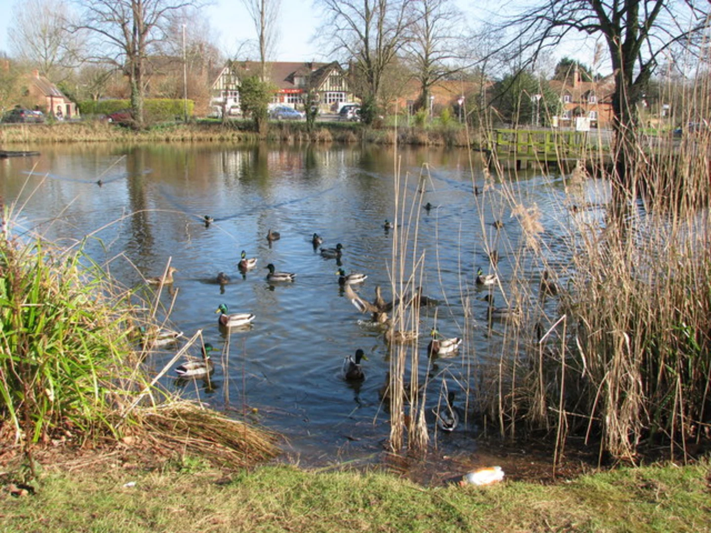 An image depicting the trail Long Itchington to Ufton Walk and its surrounding area.