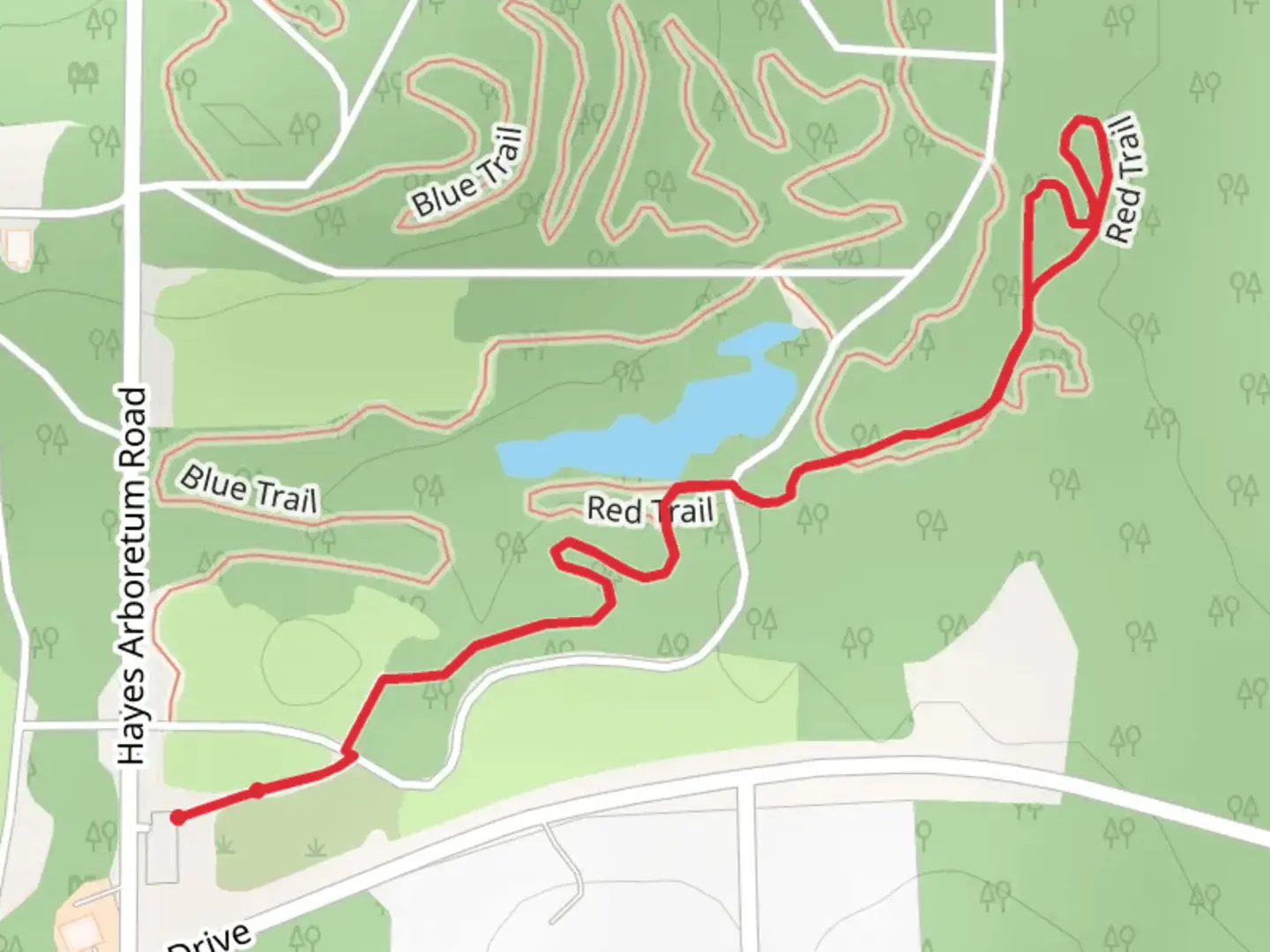 An image depicting the trail Woodside Drive Loop North and its surrounding area.