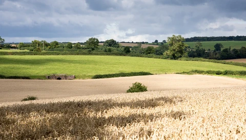Hallaton Spinneys Loop