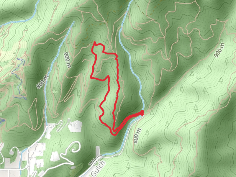 East Nettleton Gulch Road and Trail 3 Loop