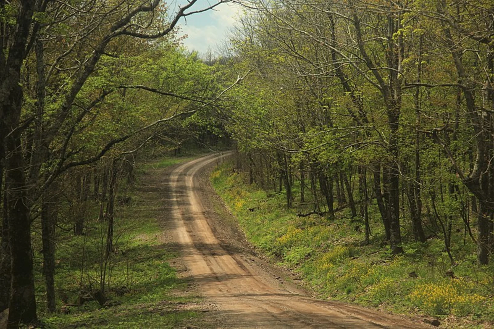 An image depicting the trail Potts Arm Trail and its surrounding area.